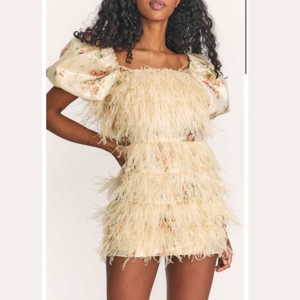 NWT *never worn* LoveShackFancy Beryl mini dress in golden fog size 6